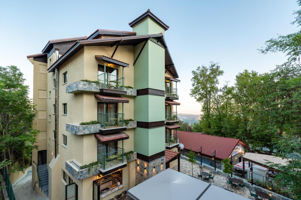 Petit Palais Platres Boutique Hotel מראה חיצוני תמונה