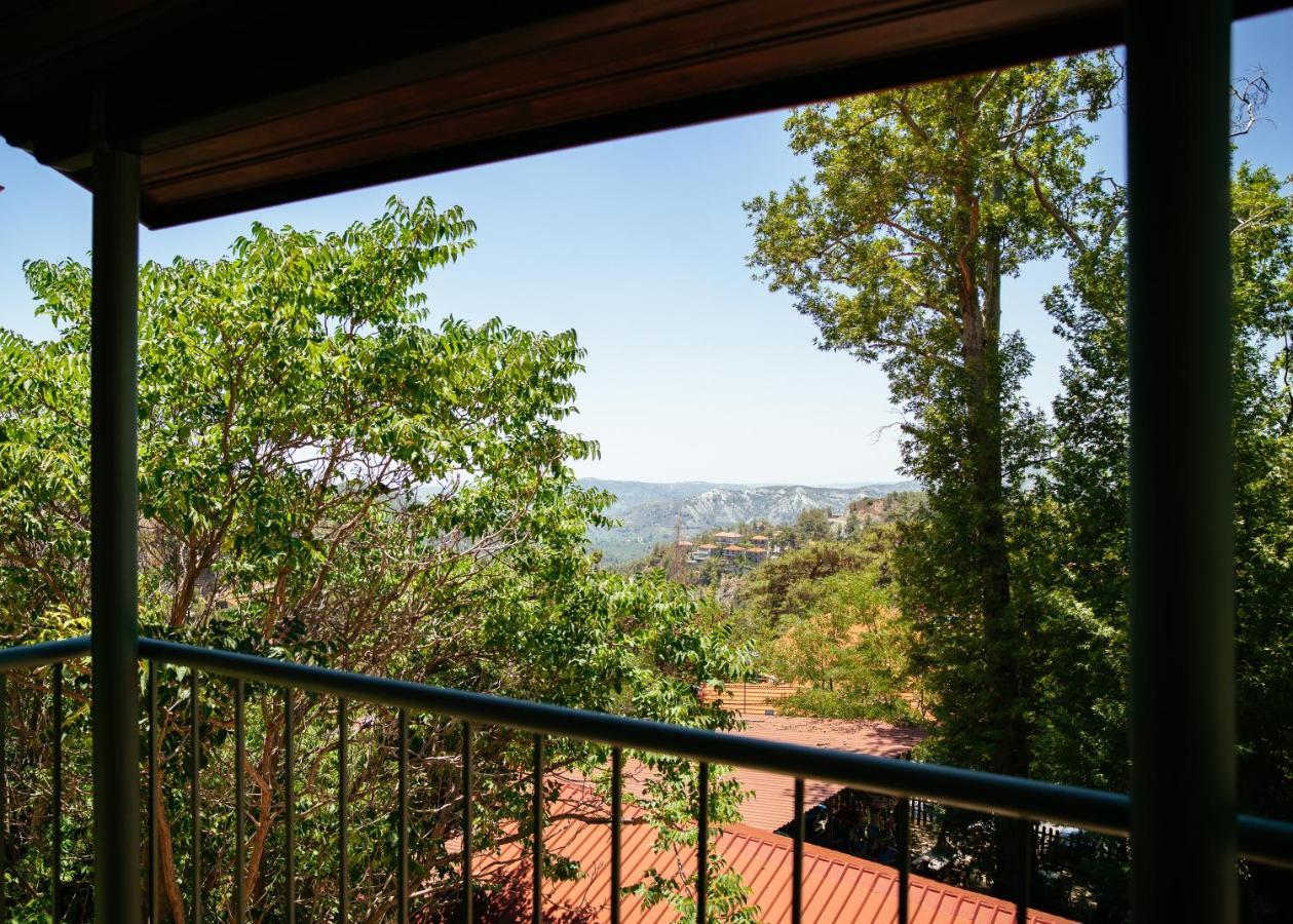 Petit Palais Platres Boutique Hotel מראה חיצוני תמונה